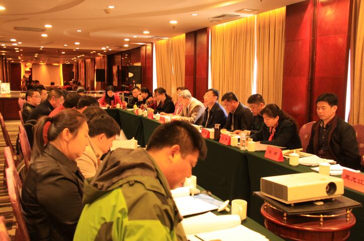 春节联欢会6.jpg